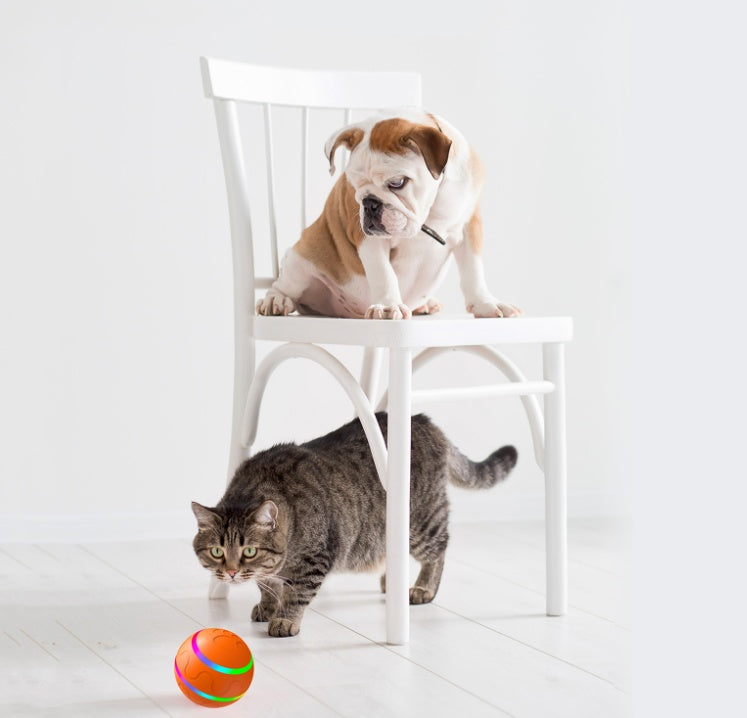 Pet New Cat Wicked Ball Toy Intelligent Ball USB Cat Toys Self Rotating Ball Automatic Rotation Ball - Tier Vet